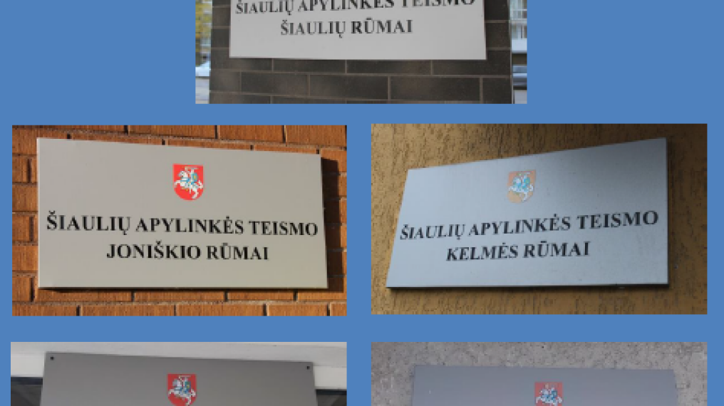 Šiaulių apylinkės teismo 2024 m. apžvalga: nepaisant teisėjų trūkumo, uždaviniai – įvykdyti