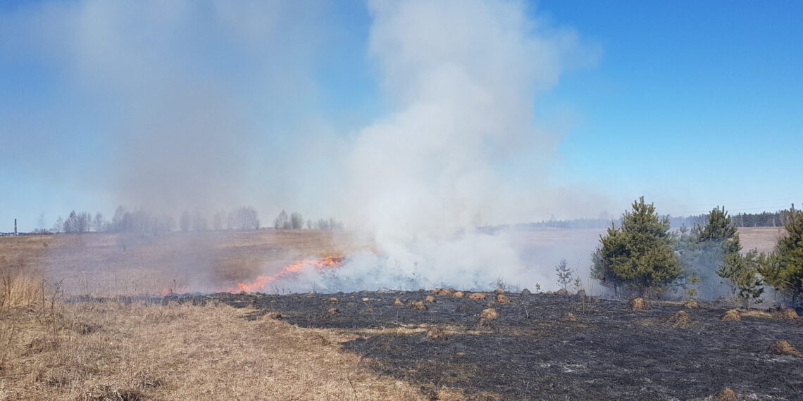 Savaitgalio gaisrai: degė žolė, butai, namai ir net… pinigai