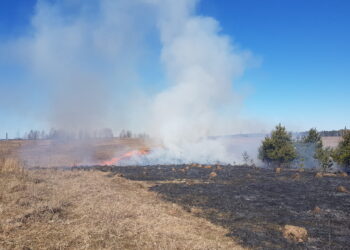 Savaitgalio gaisrai: degė žolė, butai, namai ir net… pinigai