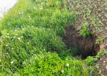 „Via Lietuva“ informuoja apie situaciją Biržų rajone dėl gilėjančios karstinės įgriuvos: ribojamas greitis, bus atliekami detalūs tyrimai