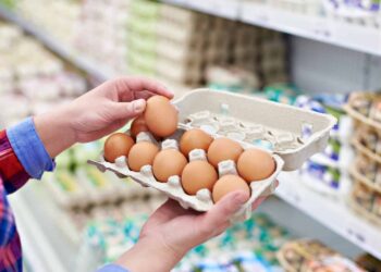Aptikus salmonelės bakterijų, VMVT stabdo UAB „Vievio paukščiai“ vištų kiaušinių tiekimą
