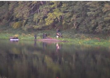 Neteisėtų migrantų būrys į Lietuvą bandė įsibrauti valtimis per Nemuną