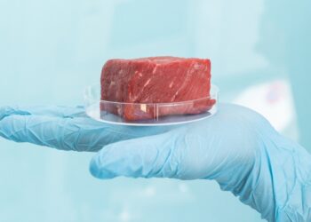 Griežtėja maisto saugos kontrolė: Europos Komisija atnaujino gaires dėl bakterijų Listeria monocytogenes
