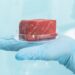 Griežtėja maisto saugos kontrolė: Europos Komisija atnaujino gaires dėl bakterijų Listeria monocytogenes