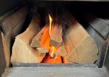 Ugnis pirtyje – draugas ar priešas? Specialistai ragina neatsipalaiduoti