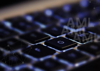 Informacija finansinės apskaitos ir mokesčių konsultavimo paslaugas teikiantiems asmenims ir bendrovėms dėl informacijos FNTT teikimo