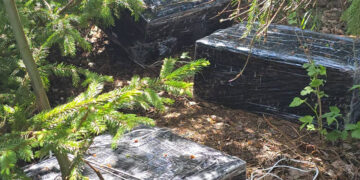 Toliau ardomi „balionų” kontrabandos nusikalstami tinklai